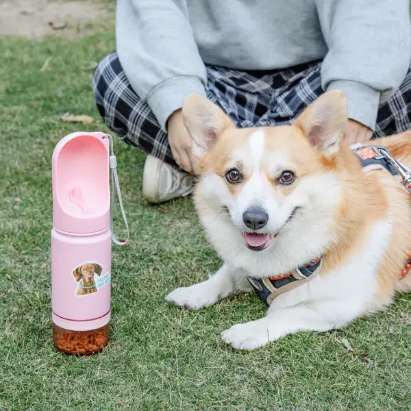 Elevate Your Pet Care with Doki Petty Wholesale Dog Water Bottles