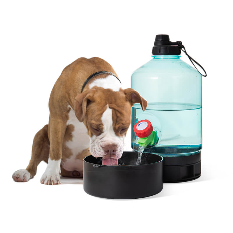 dog water bottle dispenser