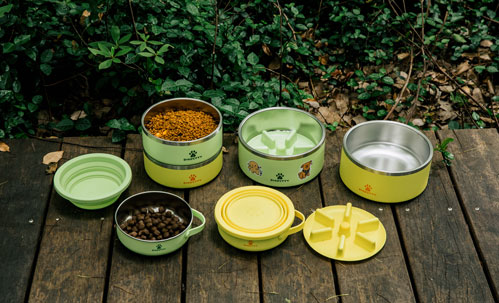 Top-7-Beste-Hunde-Schüsseln